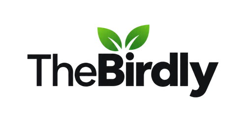 Birdly